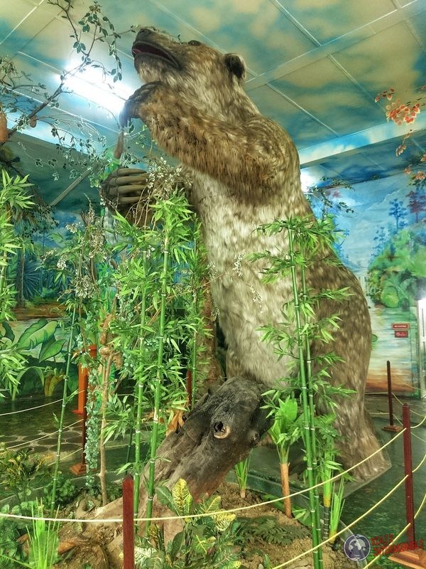 Megatherium perezoso gigante Museo Nacional Georgetown Guyana