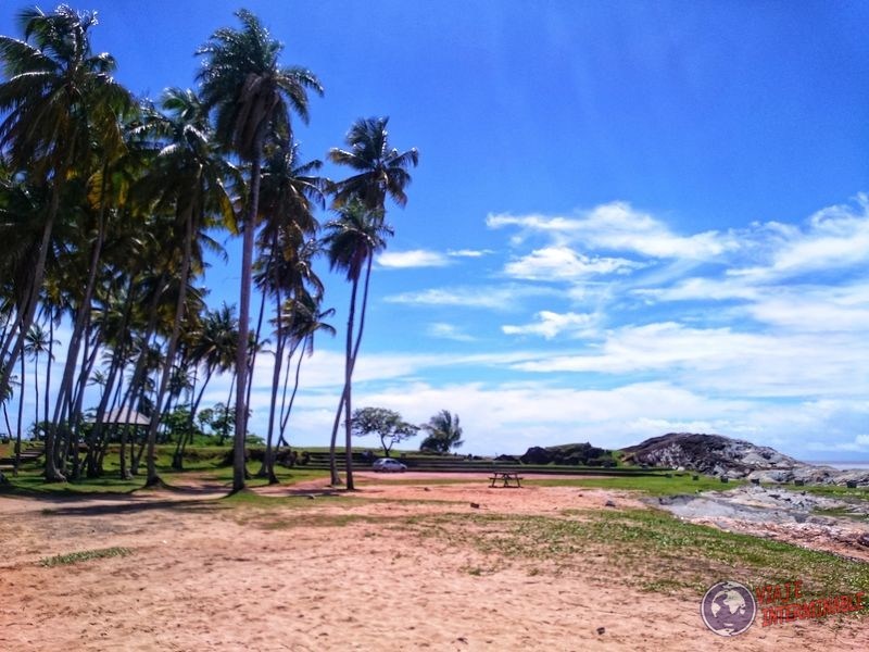 Costa de Cayenne con palmeras y mesas Guayana Francesa