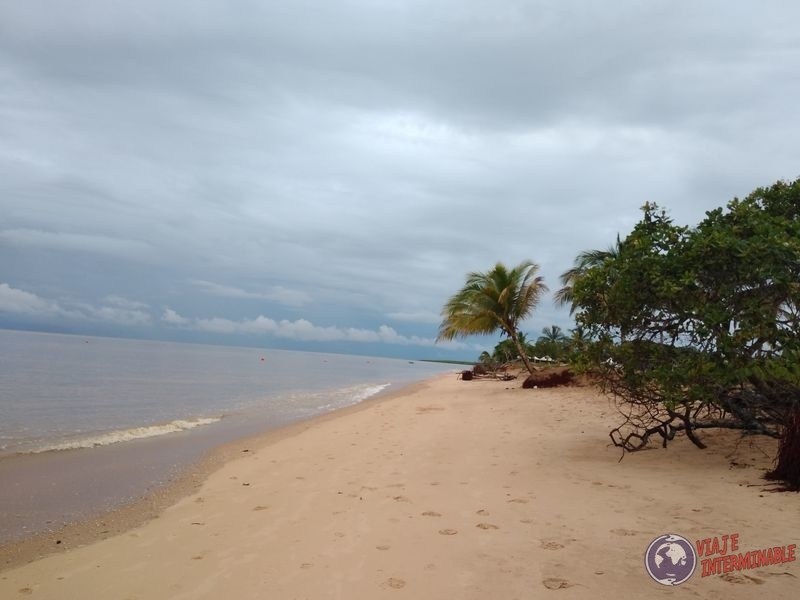 Playa Yalimapo tortugas Guayana Francesa