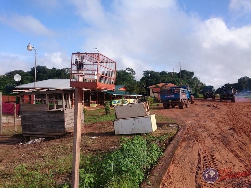 Los pajaritos de Guyana Mabura