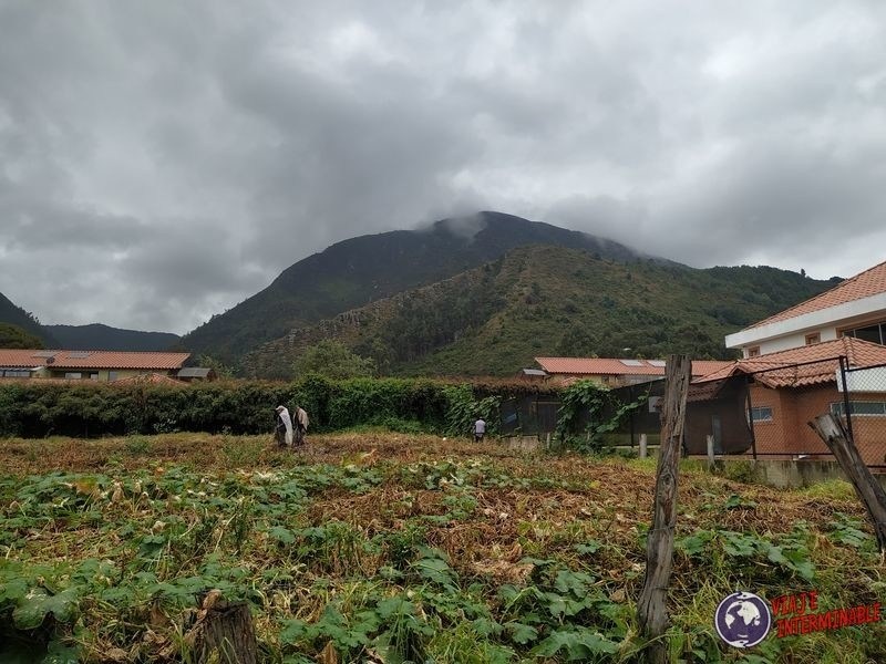 Paisaje rural Cota plantaciones Colombia
