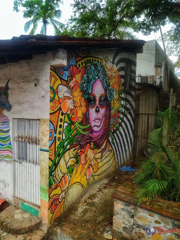 Grafiti Katrina Puerto Vallarta Mexico