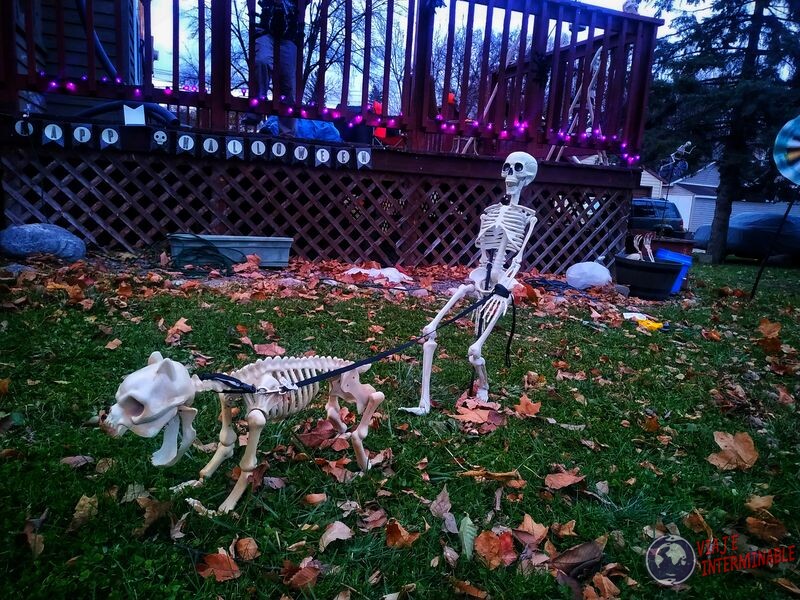 Decoracion halloween esqueleto paseando perro Montevideo Minnesota